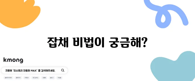잡채 만들기 쉬운 잡채 레시피 생생정보통 잡채 황금레시피 활용