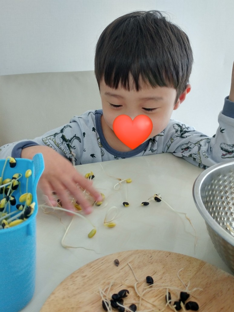 이게 뭐가 그렇게 행복해요? 아이와 함께 콩나물 키우기 12