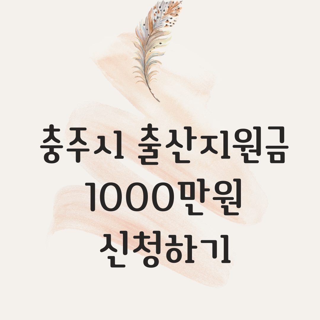 충북출산지원금1000만원