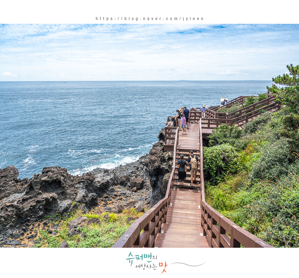 승합차렌트 제주도 8