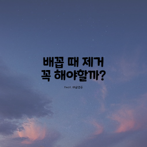  배꼽때 제거해야할까?