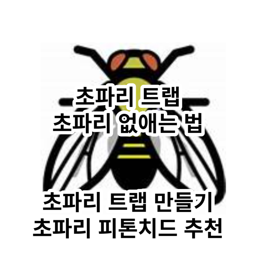  초파리트랩, 초파리 없애는 법, 초파리 트랩 만들기, 피톤치드 추천