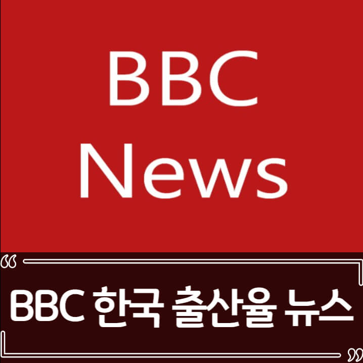  한국 출산율 감소 BBC에서 보도