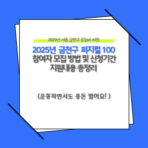 2025년 금천구 청년을 위한 피지컬 100