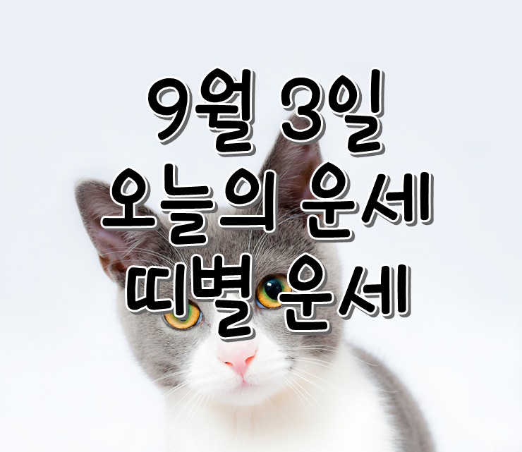  9월 3일 오늘의 운세, 띠별 운세