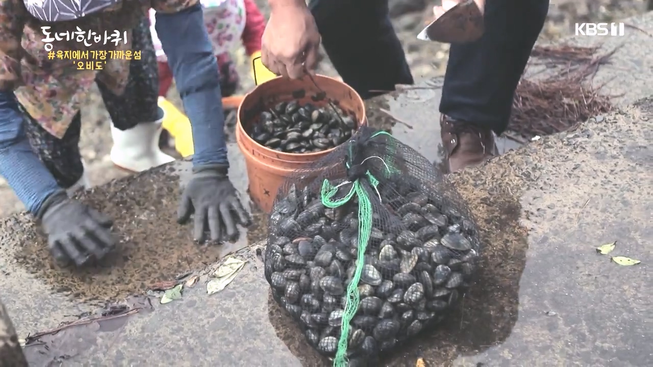 동네 한 바퀴.E243.231015p-NEXT.mp4_20231015_183716.493.jpg