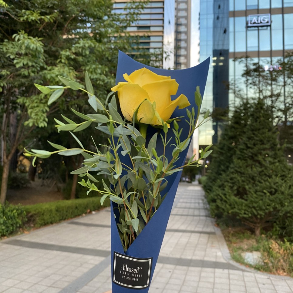 매니매니 또아 사진 -271일 26