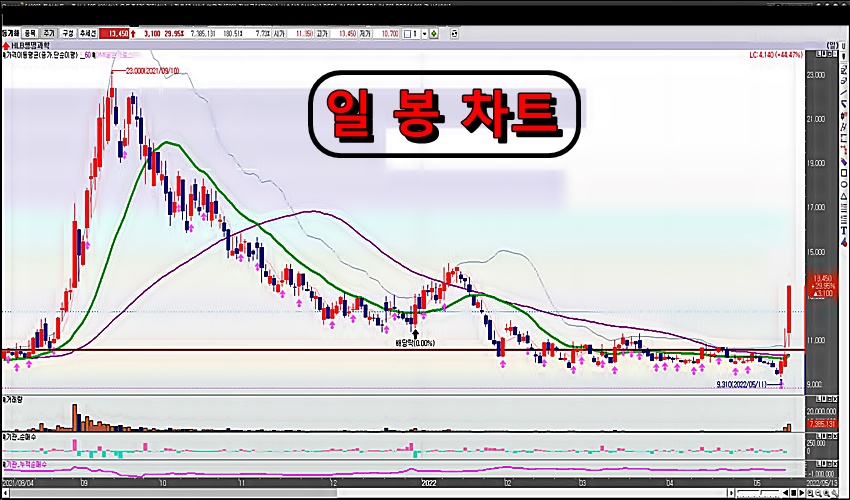 HLB생명과학-일-봉-차트