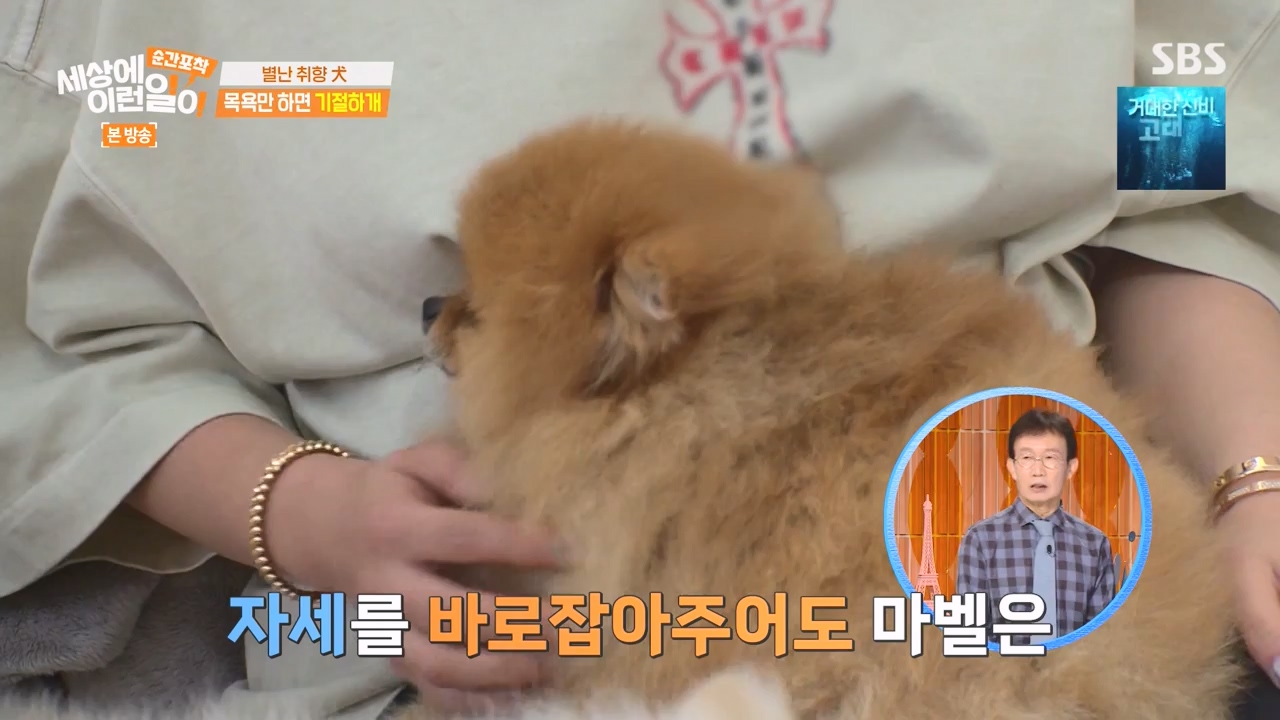 순간포착 세상에 이런일이.E1253.231126p-NEXT.mp4_20231126_160800.662.jpg