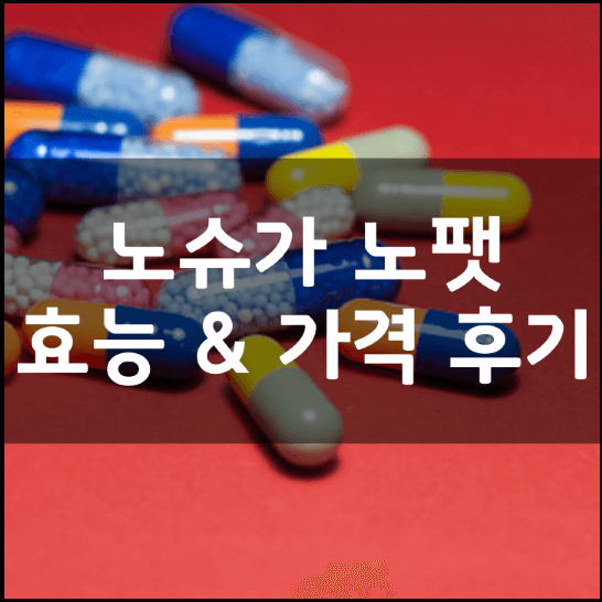 노슈가-노팻-뜻-성분-효능-부작용-복용법-가격-내돈내산-후기-추천-총정리