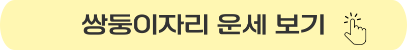 쌍둥이자리