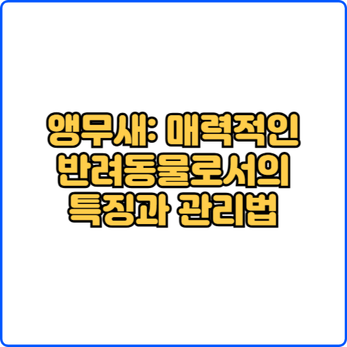 앵무새: 매력적인 반려동물로서의 특징과 관리법