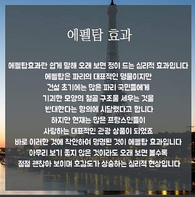  [심리] 각종 심리 효과