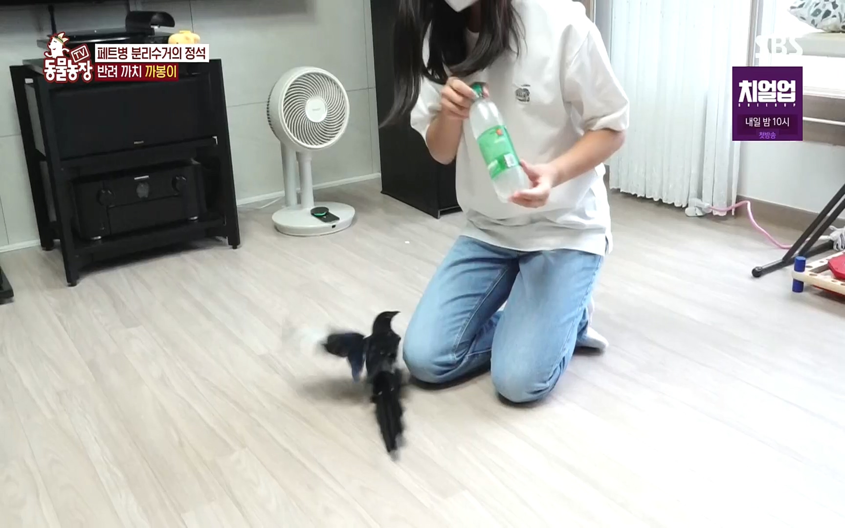 TV 동물농장.E1089.221002p.H264-F1RST.mp4_20221002_181924.046.jpg