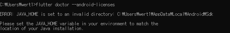 flutter doctore --android-licenses