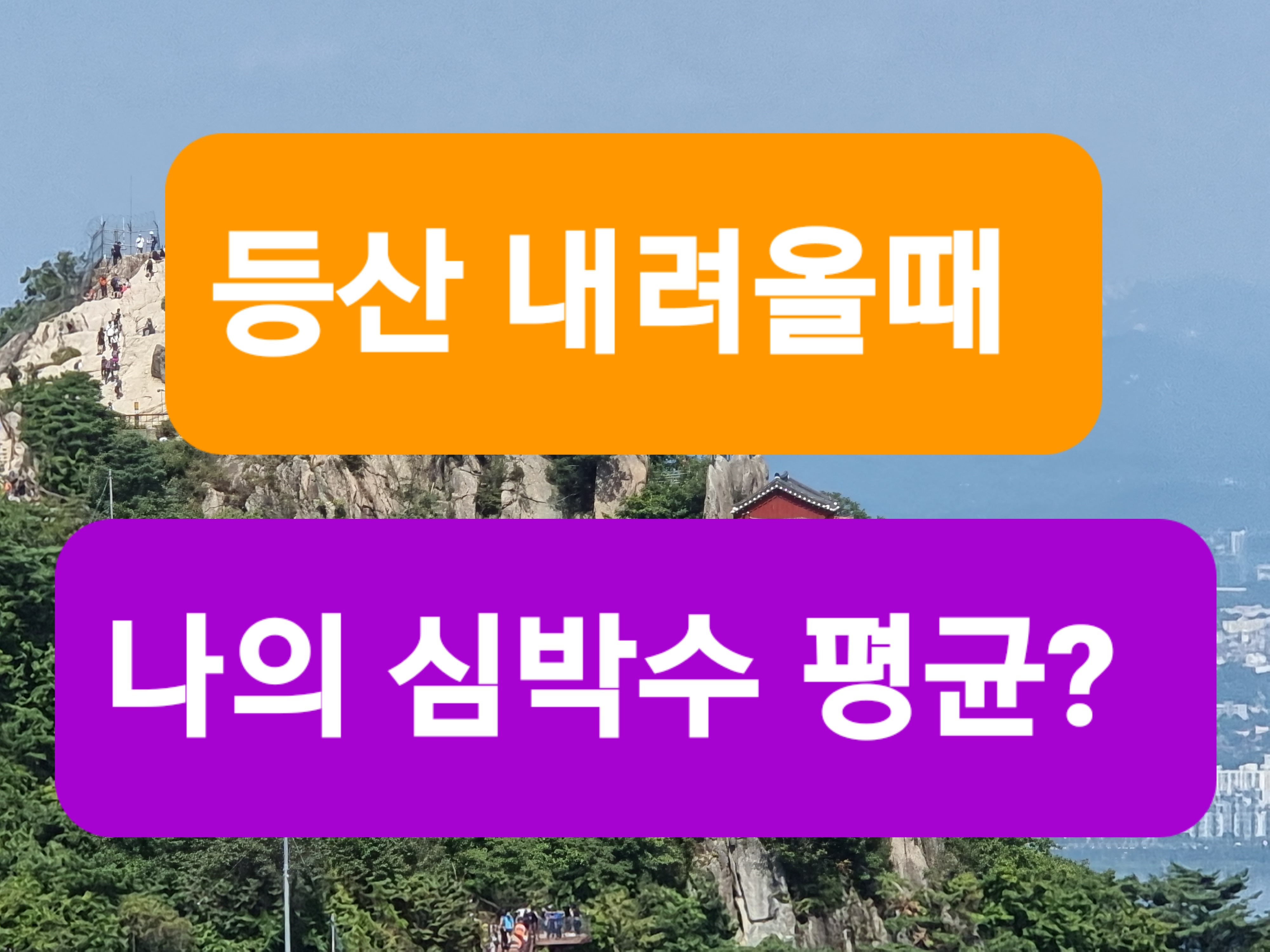 심박수 측정기 추천, 정상 심박수 범위, 운동 심박수 계산