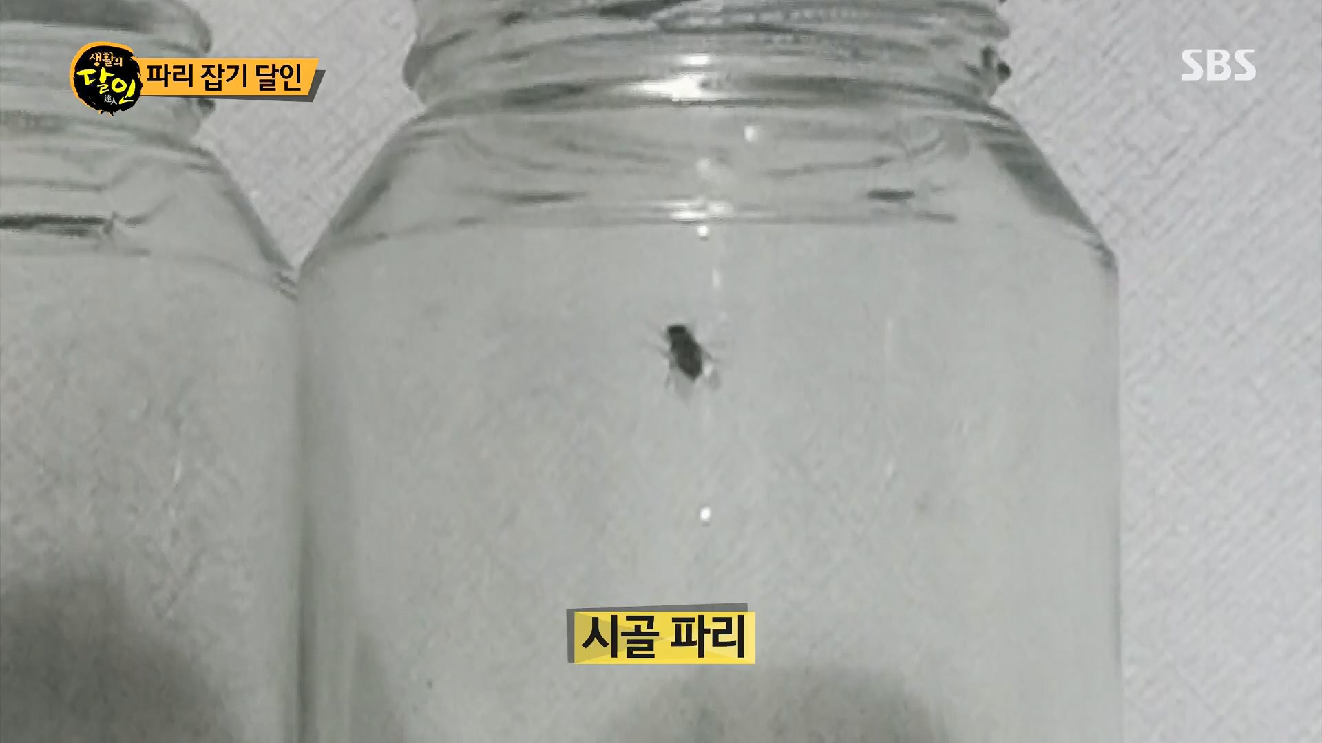 생활의 달인.E888.230515p.H264-F1RST.mp4_20230516_202153.756.jpg