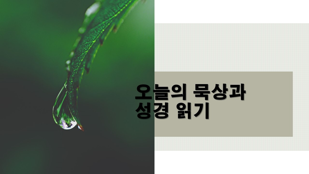  7월 12일 주일 오늘의 묵상과 성경읽기 - 오순절 후