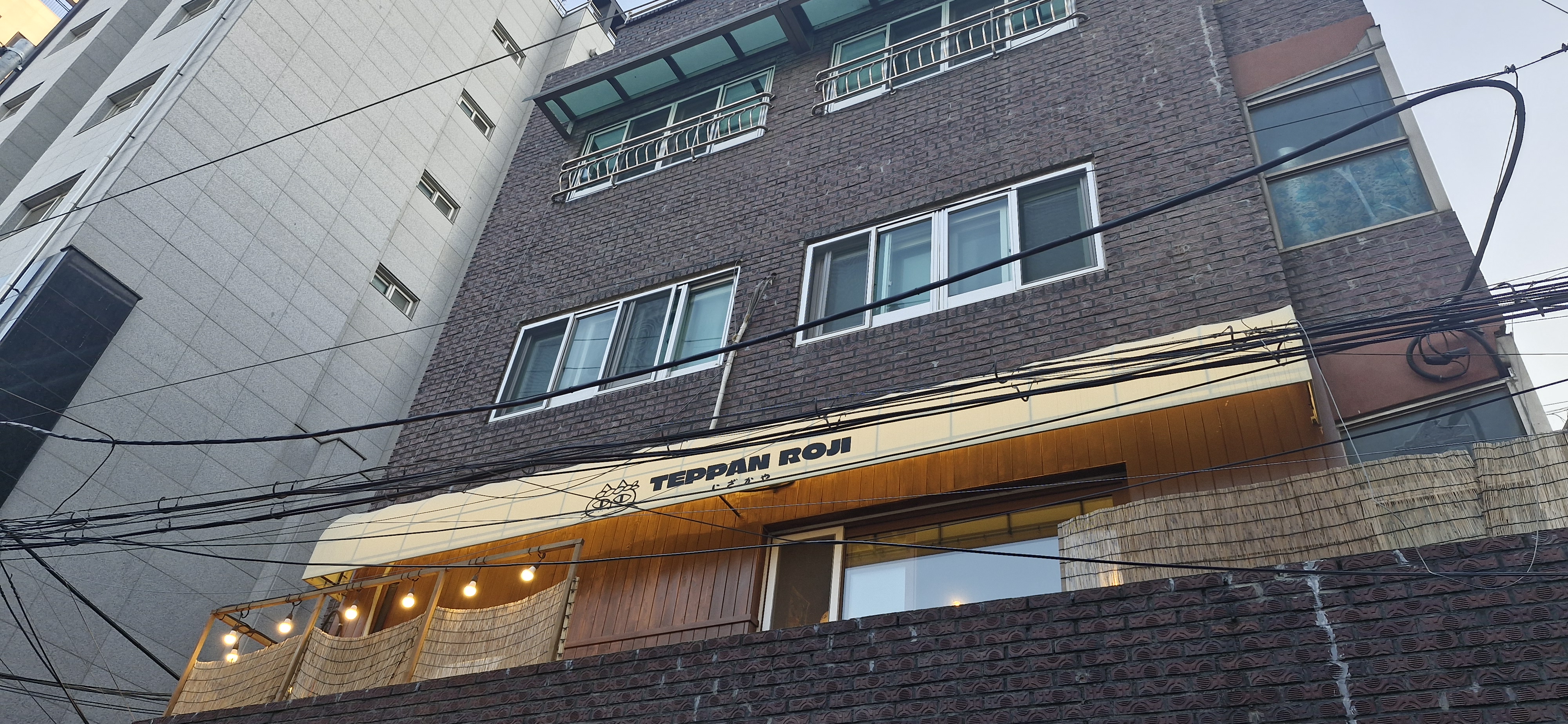 테판로지 이미지