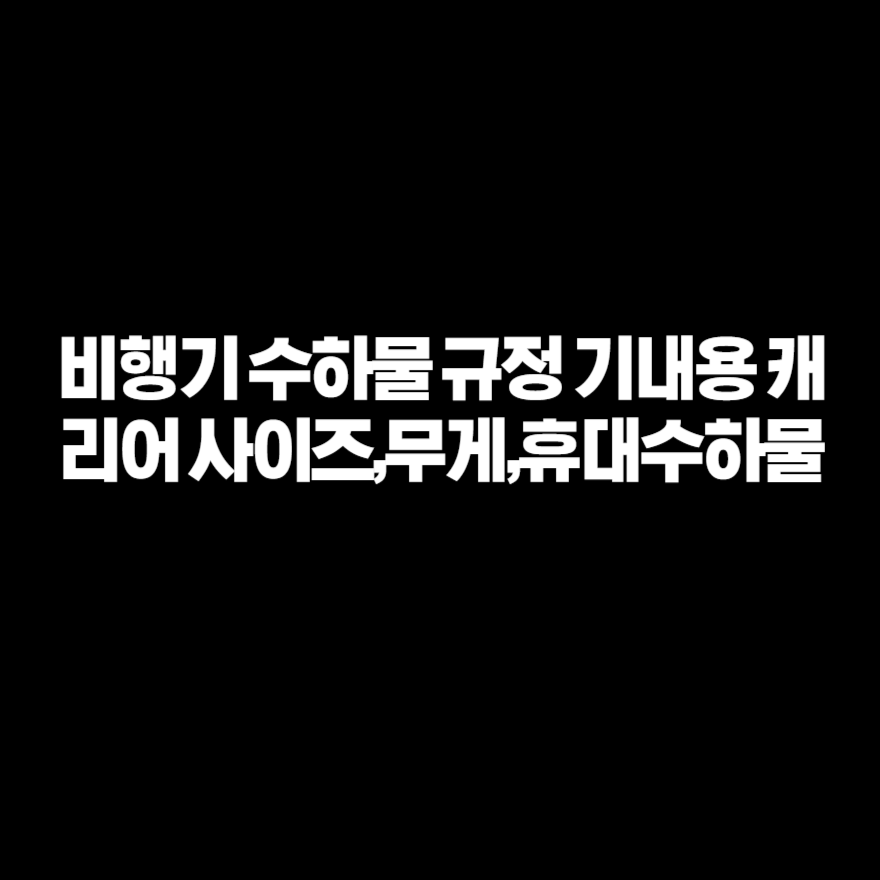비행기 수하물 규정 기내용 캐리어 사이즈,무게,휴대수하물 비행기 수하물 규정 기내용 캐리어 사이즈,무게,휴대수하물
