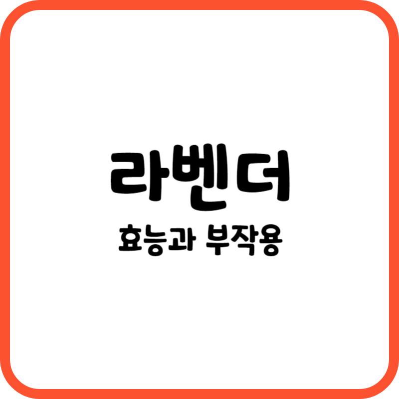 라벤더의 효능과 부작용