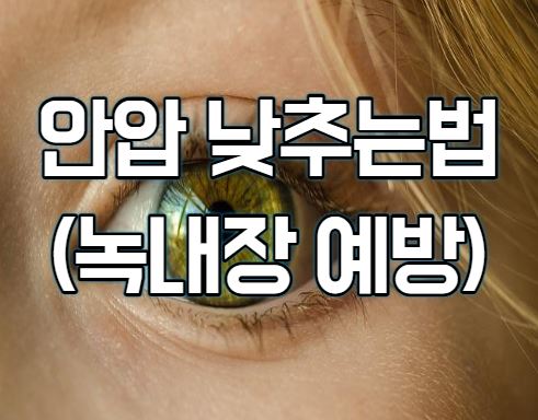  안압 낮추는법(feat.녹내장 예방)