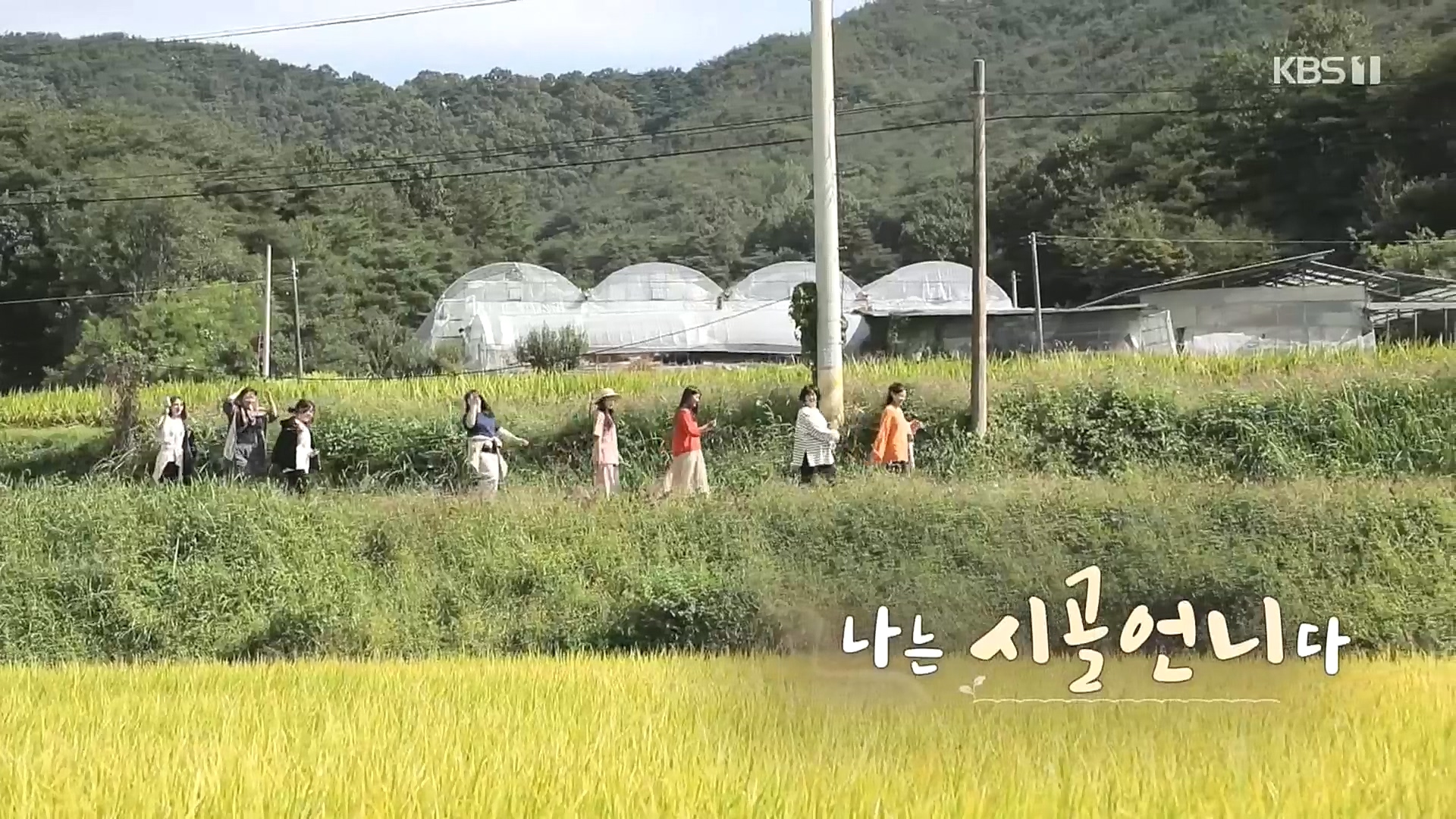 다큐 On.E165p.H264-F1RST.mp4_20221028_204125.019.jpg