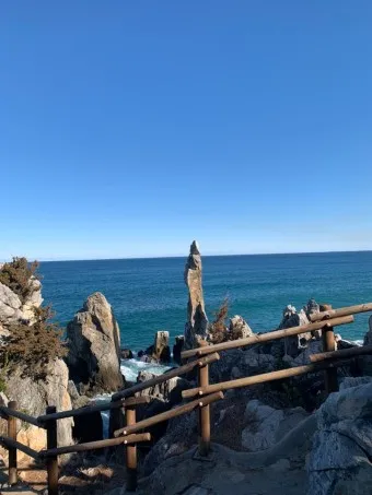 삼척 가볼만한곳 베스트10 현지인 추천 필수코스_17