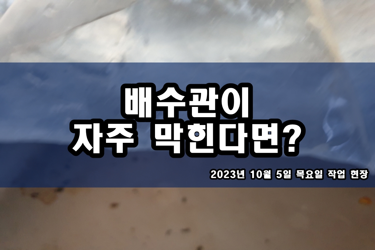  설문동 하수구 송정동 등촌동 욕조 하수도 막힘