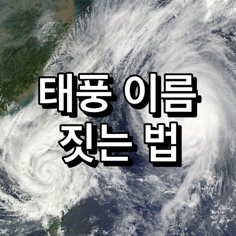태풍-이름-짓는법