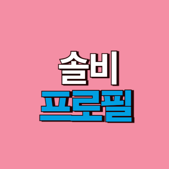  솔비 프로필 나이 키 학력 권지안 앨범 그림 화가 작품 노래