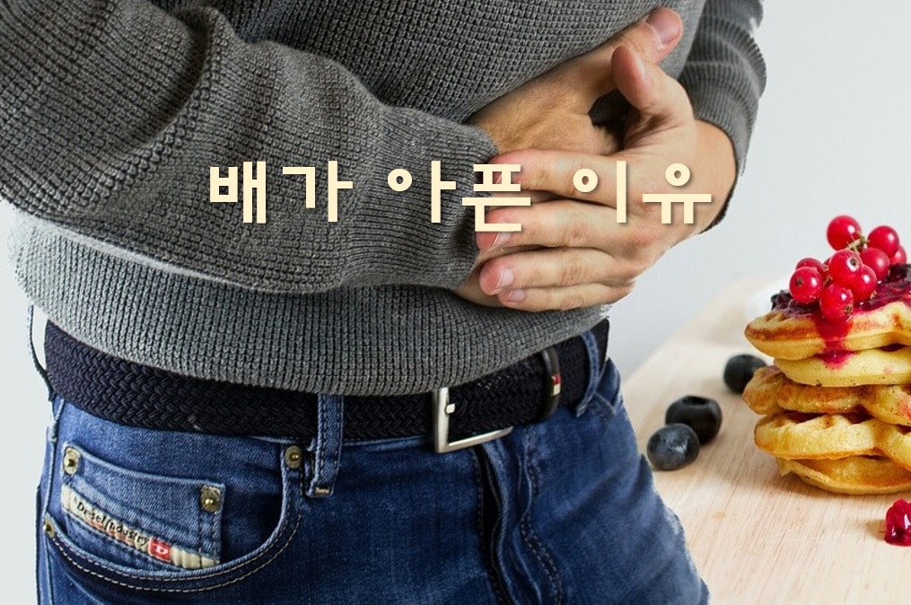  배가 차가운 이유와 배가 아픈 이유