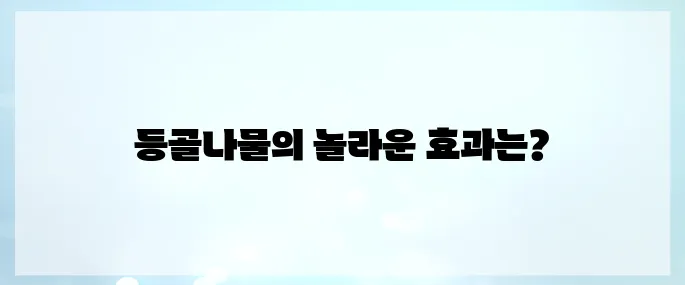 등골나물 효능, 부작용 및 먹는법