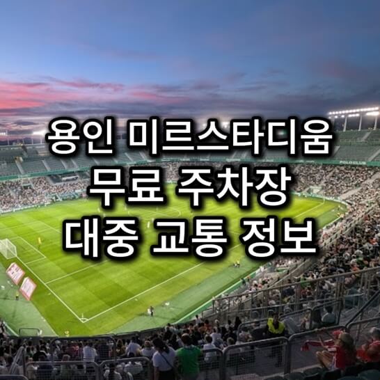 축구장-관람