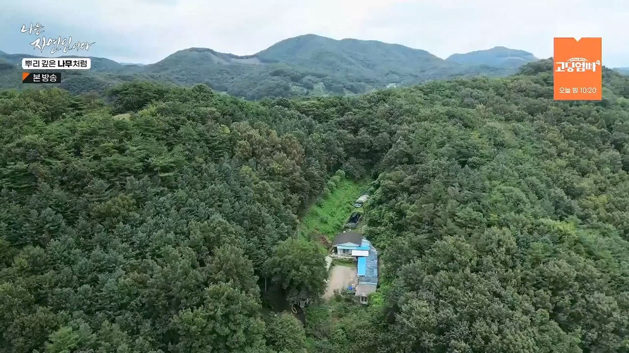 나는 자연인이다.E571.230914p-NEXT.mp4_20230914_202154.922.jpg