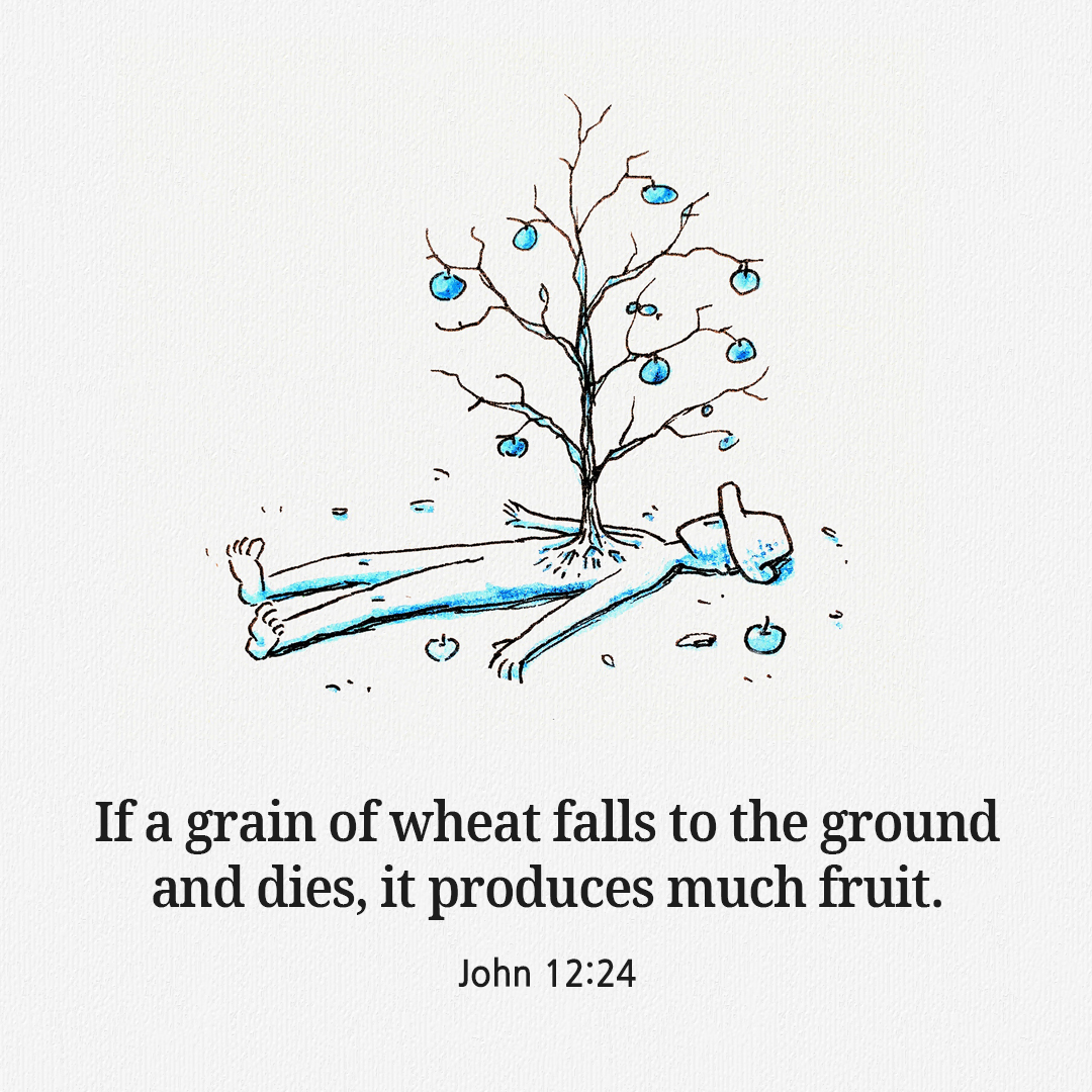 If a grain of wheat falls to the ground and dies&#44; it produces much fruit. (John 12:24)
