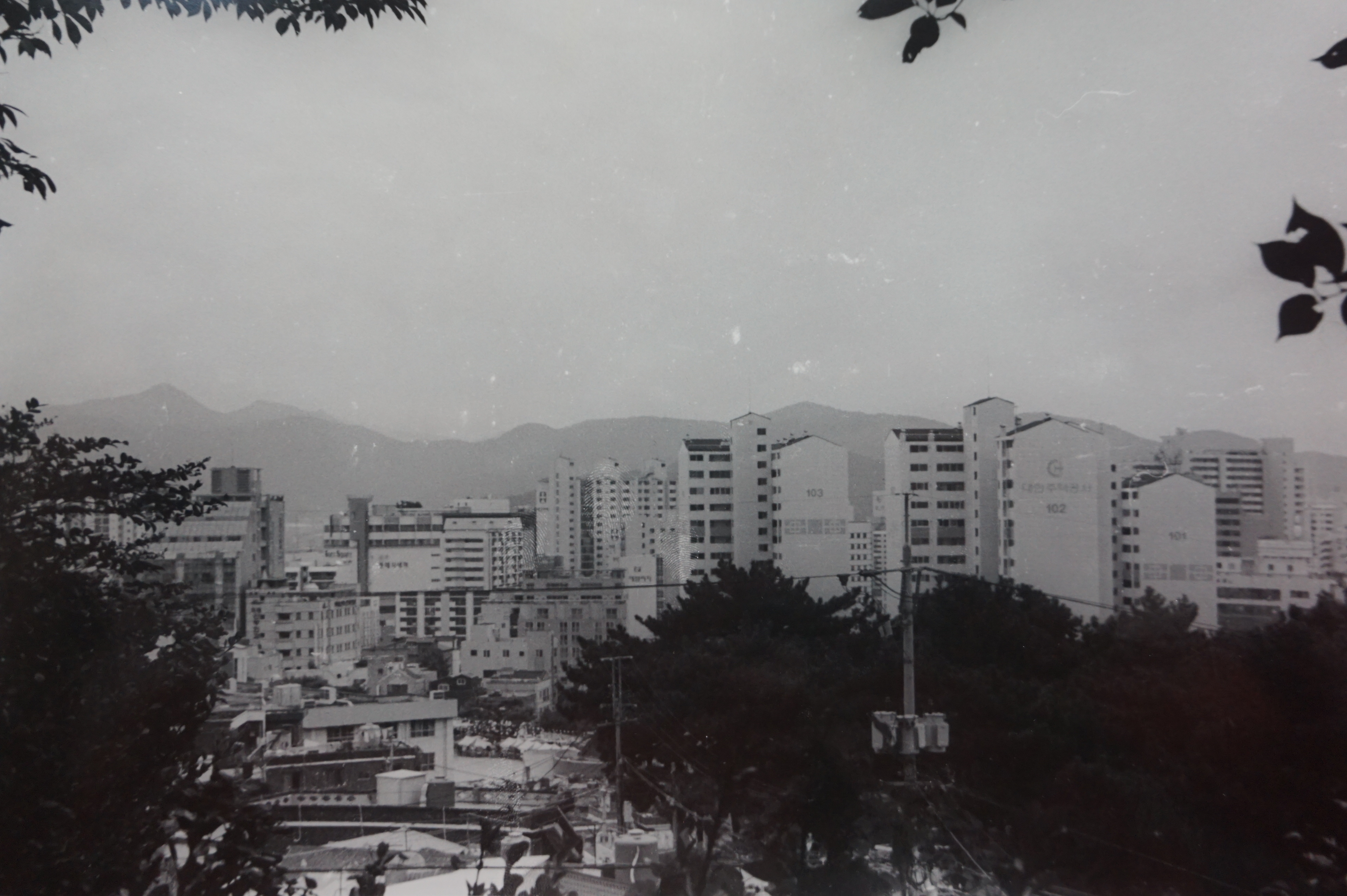 경남대에서 바라본 마을 사진, 필름 사진