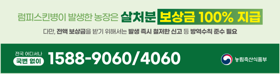 살처분 보상금 지급