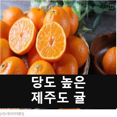 감귤10kg  당도 높은 제주도 귤로!