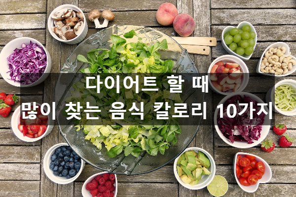  다이어트 할 때 많이 찾는 음식 칼로리 10가지