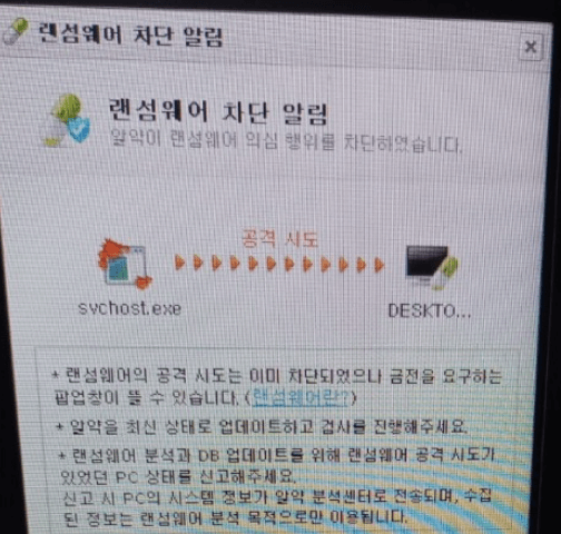 알약 랜섬웨어 오류