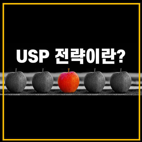  [광고 이론#2] 마케팅 전략의 기본, USP전략에 관하여