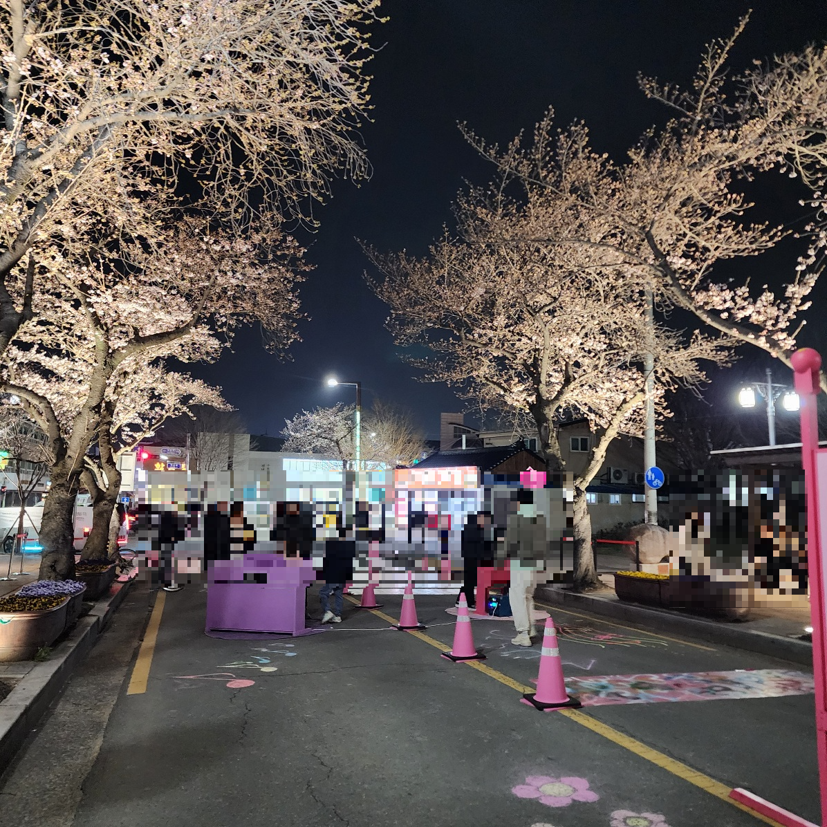 대릉원-돌담길-벚꽃축제