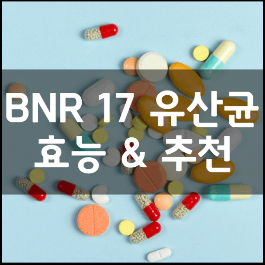 BMR17-BNR-비엔알-17-비엔나-17-유산균-다이어트-분말-가루-효능-추천