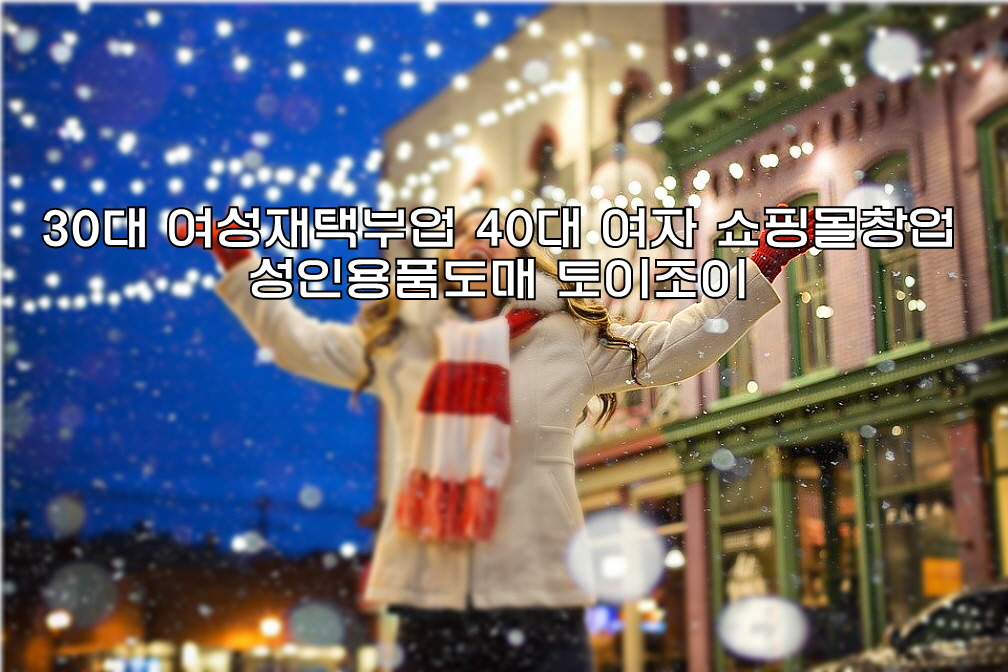  성인용품온라인,성인용품,성인용품창업,성인용품도매,성인용품쇼핑몰창업
