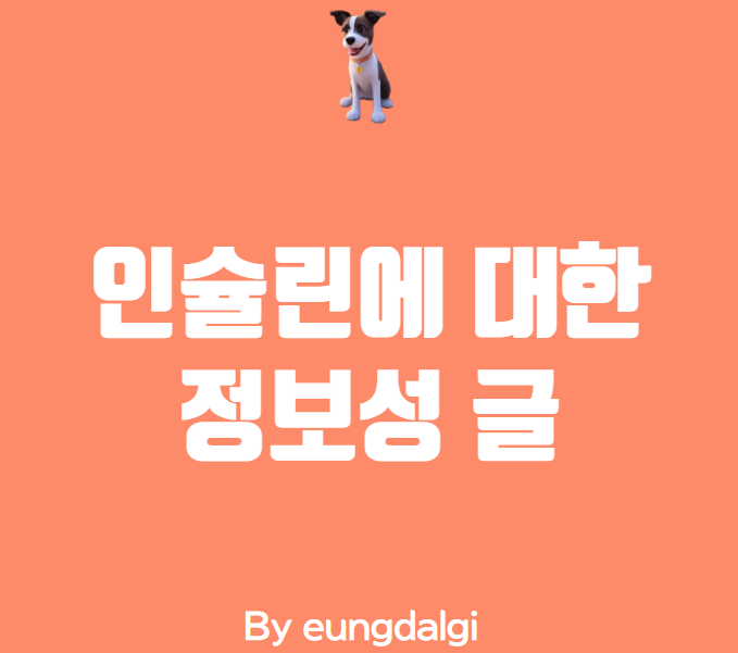  인슐린에 대한 정보성 글