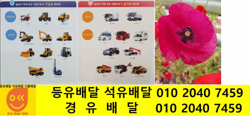  용인 경유배달 백암면 경유배달 가좌리 경유배달 가창리 경유배달 고안리 경유배달 근곡리 경유배달 근삼리 경유배달 근창리 경유배달 박곡리 경유배달 백봉리 경유배달 백암리 경유배달 석..