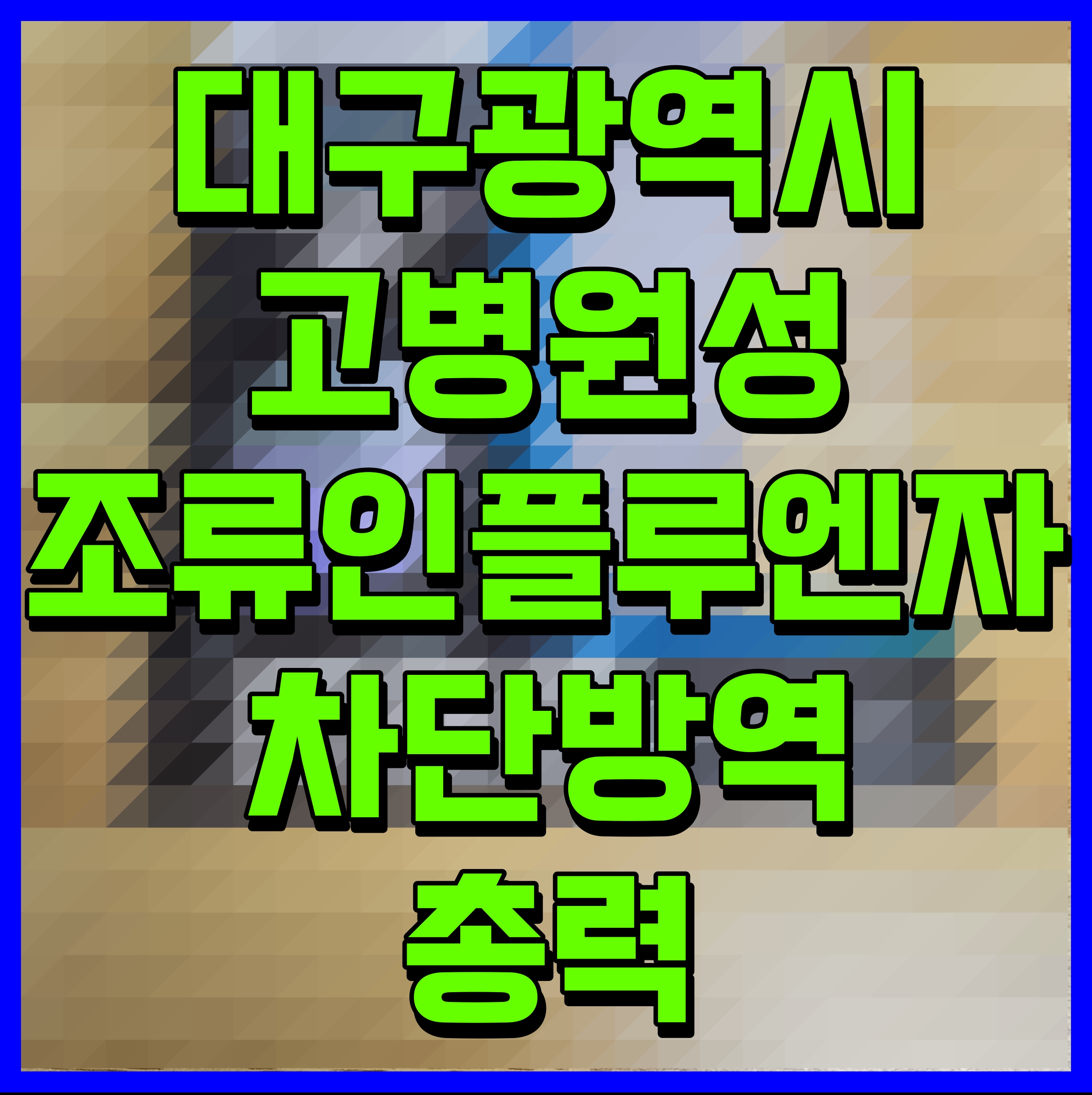 대구광역시 고병원성 조류인플루엔자 차단방역 총력
