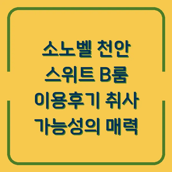 소노벨 천안 스위트 B룸 이용후기 취사 가능성의 매력