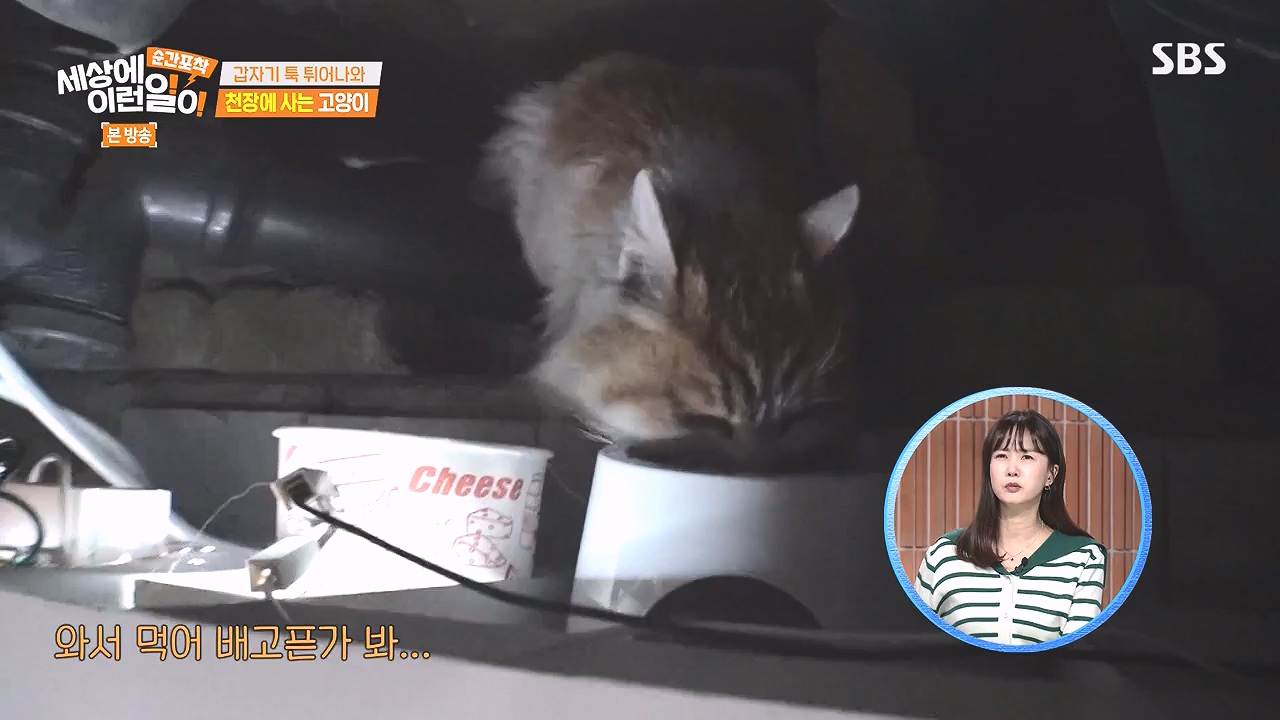 순간포착 세상에 이런일이.E1259.240107p-NEXT.mp4_20240107_163620.954.jpg